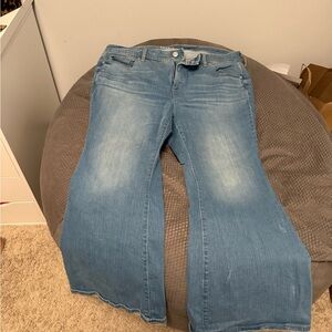 Torrid Light Blue Flare Jeans